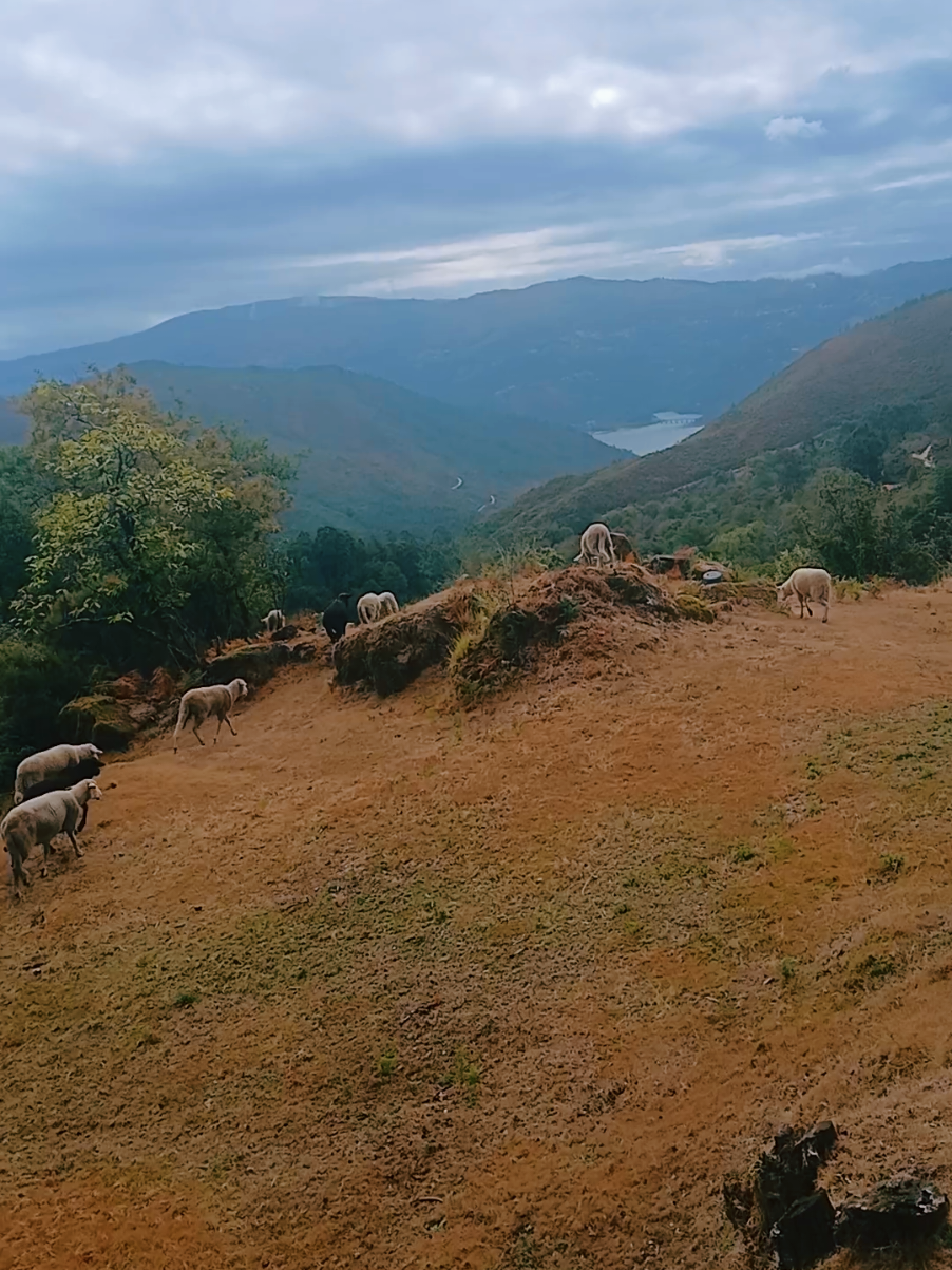 #2025 #Geres #portugal🇵🇹 #verão #nature 