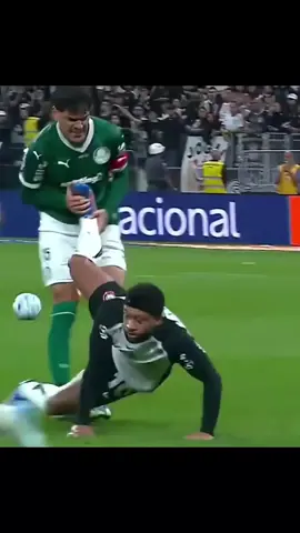 O BRASILEIRÃO E O MELHOR CAMPEONATO DO MUNDO: #meme #futebol #viral #gol #brasil🇧🇷 