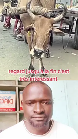 #vu 