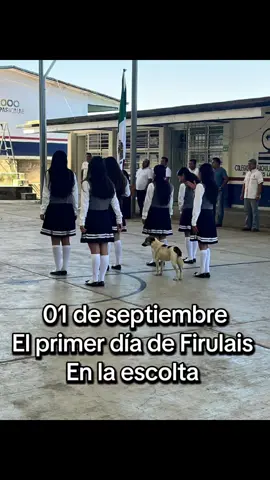 #firulais #escolta #regresoaclases2025 