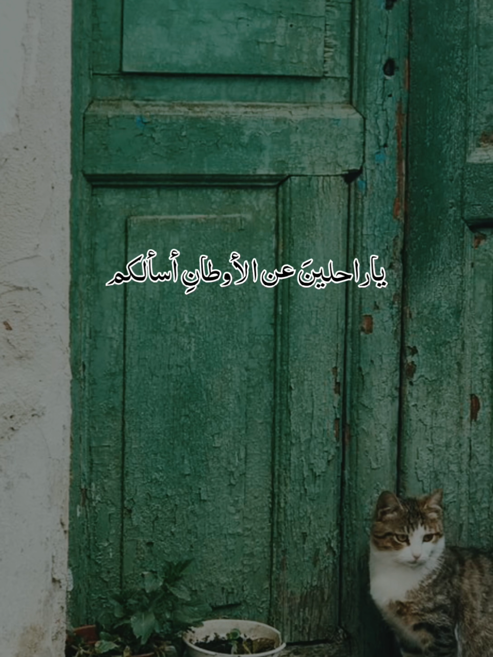 ياراحلين عن الأوطان أسألكم🥹 #مؤثر #foryoupage #أكسبلور #لايك__explore___ #viraltiktok @🥀نٌےـسًےـمِےـة هےـِدُوُء🌹 @🥀نٌےـسًےـمِےـة هےـِدُوُء🌹 @🥀نٌےـسًےـمِےـة هےـِدُوُء🌹 