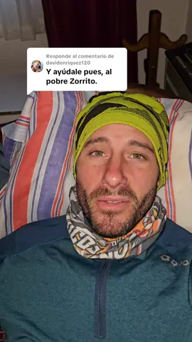 Respuesta a @davidenriquez120  ya estaba muerto🥲#vida #animales #salvaje #patagonia #reflexion 