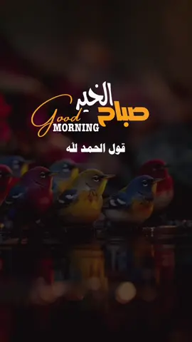 #الحمدلله_دائماً_وابدا #صباح_الخير 