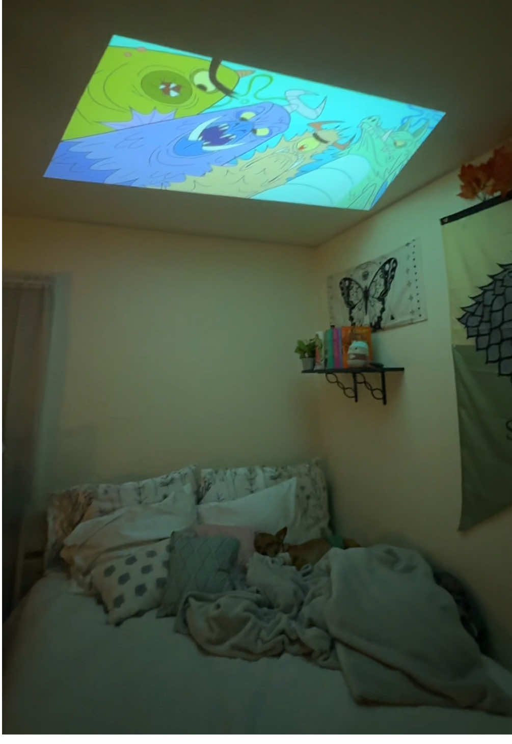 Replying to @jaz LOVE watching my fav shows on my ceiling 🙌🏾 #trending #roomfinds #projectorforbedroom #windowprojector #movienight 