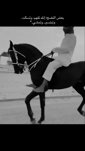 #نجران #خيل_وخياله🐎 #خيل_نجران_الاصيله #غريوف_نجران #عبارات 