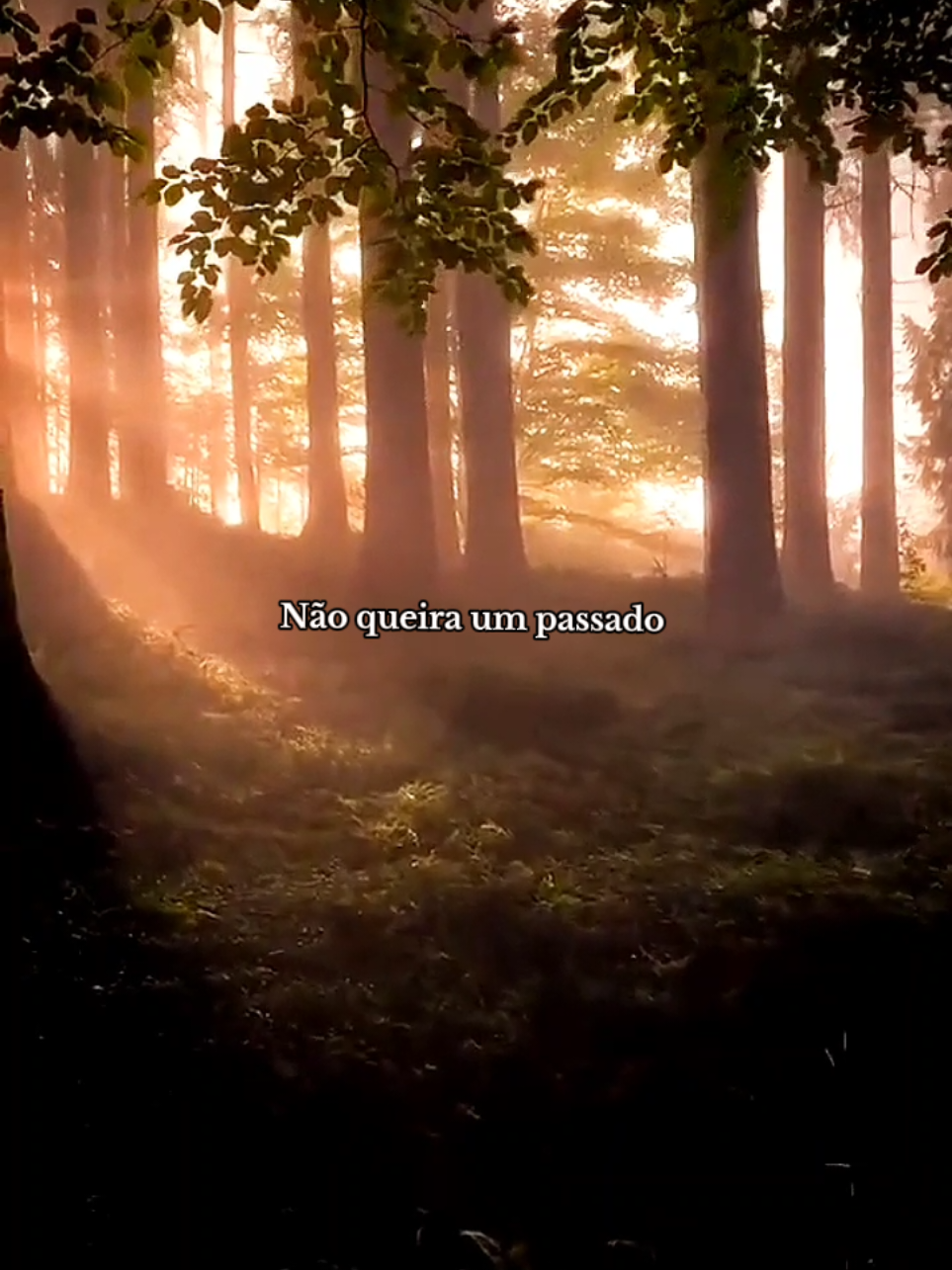 MATURIDADE NÃO É PERFEIÇÃO! GENTE ME SEGUE AÍ POR FAVOR VALEU!