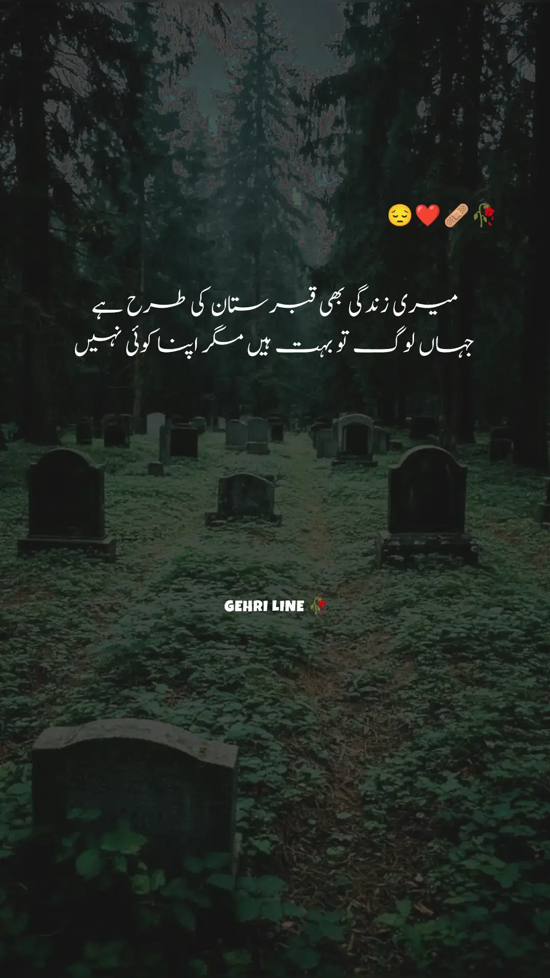 #foryou #urdupoetry #urdushayari #gehri_line  #urduline #gehri_chup plzz.1m