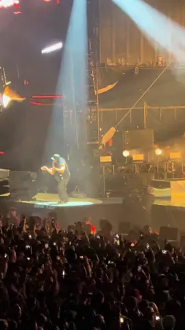 System of a Down “Needles” at Soldier Field Chicago 2025. #systemofadown #soad #chicago 