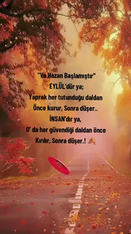 Hissetmeden anlayamazsın bazı şeyleri. 