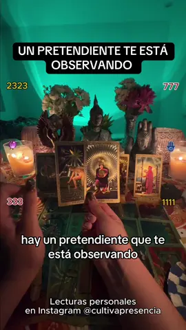 Te observa 💗⭐️ #gratitud #universo #espiritualidad #cultivapresencia 
