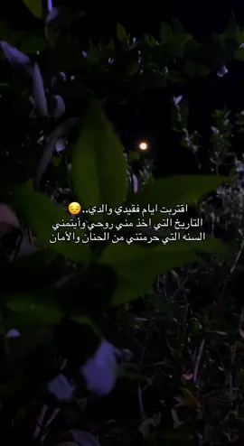 #CapCut  #باسميه_عشاق_باسم_الكربلائي_باسميات #ودعنه_ومشة_جان_حلم_خطوات #اكسبلورexplore #اكسبلور 