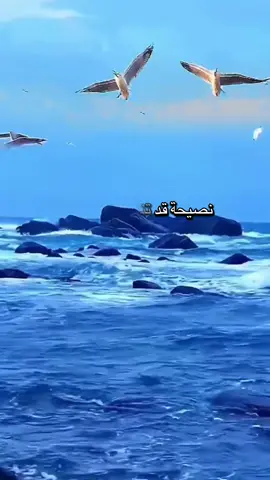 🫶🤲 الحمد لله دائما وأبدا🤲🫶