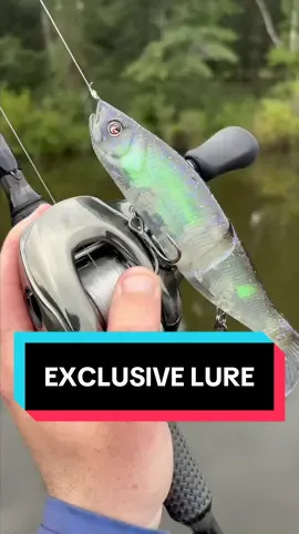 Exclusive Glidebait…#bassfishing #swimbait #lure #pondfishing #fishing 