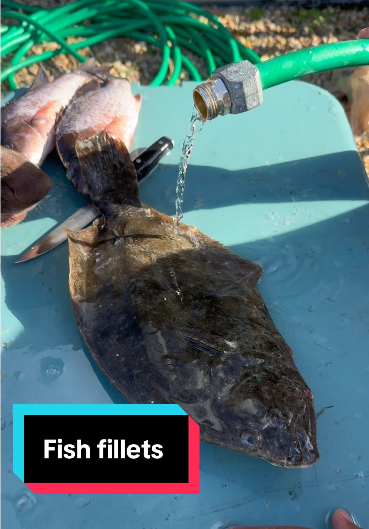 Let’s fillet some fish#po#polkcountyi#wildlifei#livingo#boati#fishingr@Mrmakeithappen