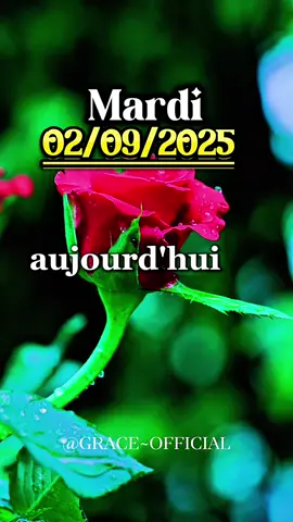 #creatorsearchinsights Seigneur, tu es bon, fais nous marcher de victoire en victoire #Dieu #morning #prayer #500kviews 