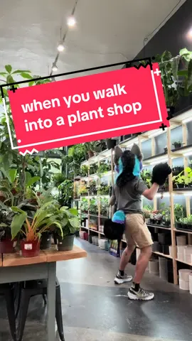 #furry #houseplants #plants #plantsoftiktok #fursuit 