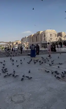 @المدرسة المحمدية 
