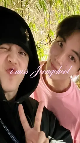 replaced love with miss because i miss them so bad 😔 #jeongcheol #seventeen #fyp 