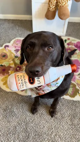#tiktokshop #labordayweekend #petproducts #PetsOfTikTok 