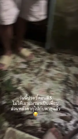 จะมีใครนั่งบนต้นไม้ไหมน้อ #ห้องน้ำห้องใจ 