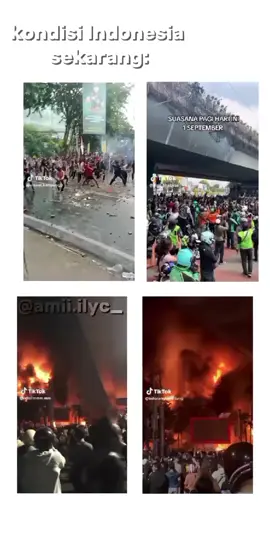 #fypp #indonesiahancur #demo #dpr #bubarkandpr 