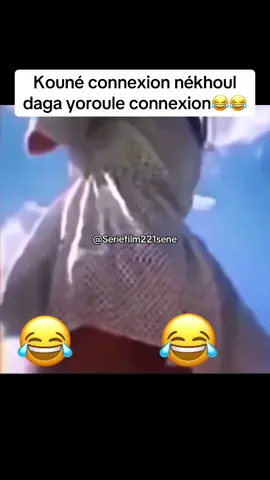 Kouné Connexion nékhoul daga yoroul Sénégal 😂😂 #pourtoisenegal #pourtoi # #TikTokComique #ChallengeDrôle #SénégalHumour #QuiEstLePlusRapide #senegal #PourToiSénégal #SénégalFierté #TikTokSénégal #HumourSénégalais #ChallengeSénégal  #pourtoisenegal🇸🇳🇸🇳🇸🇳 