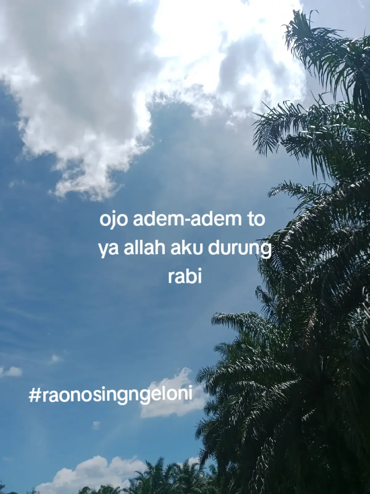 #trendingtiktok #xyzbca #4foryoupage #jowostory #fypシ゚ #foryoupage #fyppppppppppppppppppppppp 