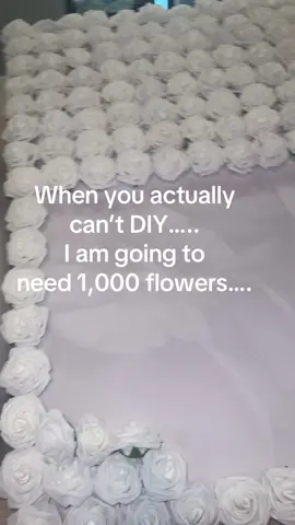 #wedding #weddingDIY #fyp #bride #foryou #foryoupage #engaged #bride2025 #weddingmonth 
