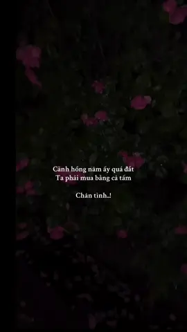 mua bằng cả tấm chân tình #nhacbuonchill #nhacbuontamtrang #tamtrang_camxuc #tamtrangbuon 