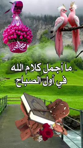 ما أجمل كلام الله في أول الصباح #صباحكم_أحلى_صباح #يسعد_صباحكم #صباحكم_معطر_بذكر_الله #صباح_الخير 