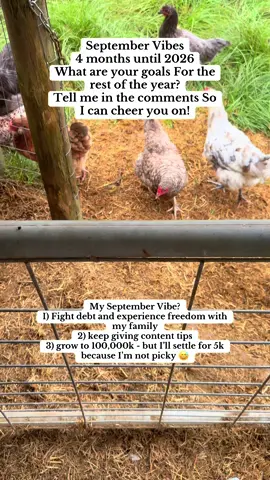 My September vibes is to reach these three September goals - I) Fight debt and experience freedom from it with my family 2) keep giving content tips 3) grow to 100,000k - but I’ll settle for 5k because I’m not picky 😅 what do you have going on in September? @Nicole-Content & Brand Tips   #september #septembervibes #septembergoals