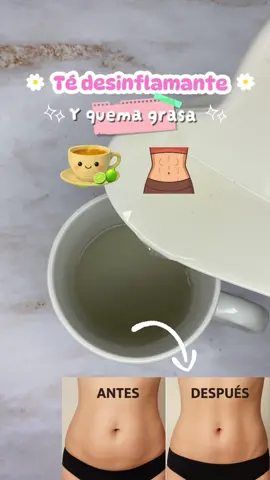 Aplana tu abdomen con este té casero 🍵👌🏻✨ #creatorsearchinsights #tiktokviral #foryoupage #tiktok #parati 