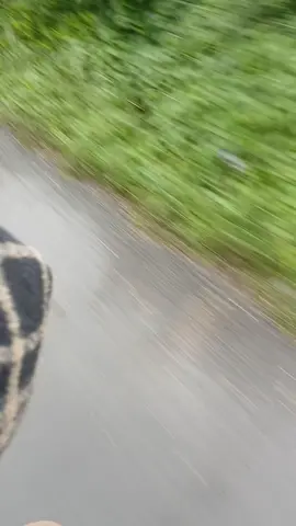 Ngã Tư Tà Liên 🍀🔥😍