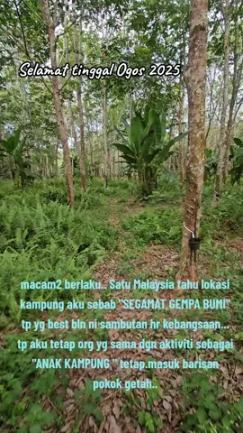 SELAMAT TINGGAL OGOS 2025 bnyk benda berlaku dlm bulan ni, tp aku tetap masuk barisan pokok getah #selamatharikebangsaan #indonesiabergolak #segamat #gempa #menoreh 