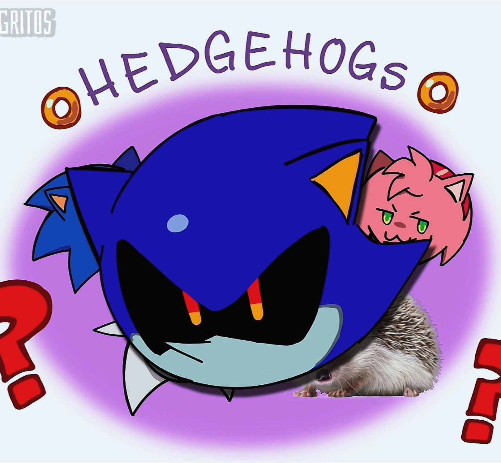 An old animation from back in June. I decided to finally finish it!! It was really fun to work on!!! #metalsonic #kasaneteto 