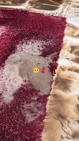 #galaubrutal🥀 