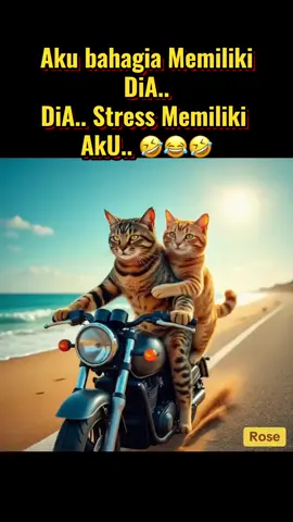 Sabar ya bang meow 🤣🤣🤣 #hiburan #oyen #fypシ゚viral🖤tiktok #katakata #contentcreator 