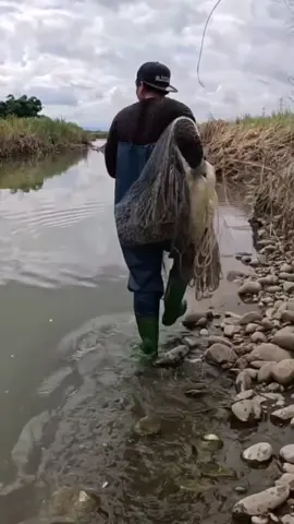 catching fish #fishing #fish #fishinglife #pesca 
