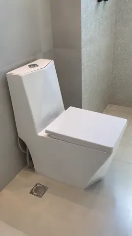 Vaso Sanitário Monobloco Cerâmica Modelo Diamante 