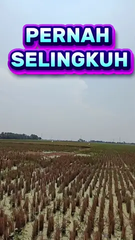 Pernah Selingkuh 