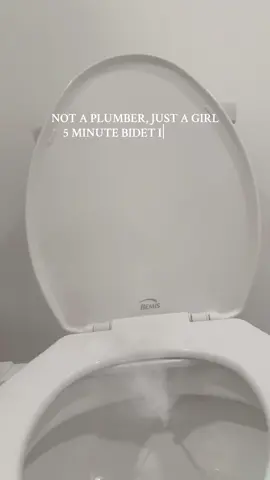 Where my bidet baddies at ??? THIS WAS SOOOO EASY TO INSTALL if i knew it was this easy i def wouldve gotten sooner #tushybidet #tushy #bidet #tushyfresh #easybathroomupgrade #bathroomupgrade #sahm #sahmhack #toilet 