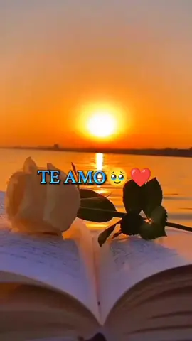 #teamomiamor♥️😍👩‍❤️‍👨 