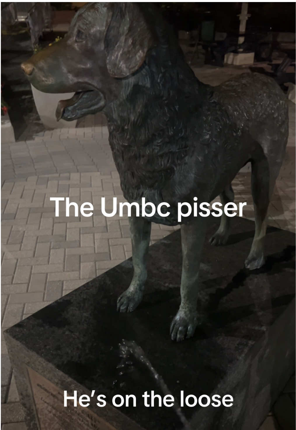 tonight’s the night #umbc #umbcpisser #piss #bayharbourpisser #collegelife 