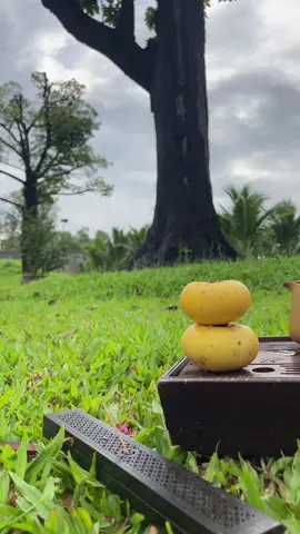Bình an một sớm trà thơm.khói trầm thơm ngát mây ôm núi trời 