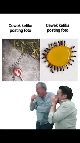 cowo sekali post foto malah ditawar sama kandangnya #funny #meme #relateable 