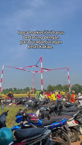 #merpatikolong #viral_video #fyppppppp #merpati_indonesia🕊️ 