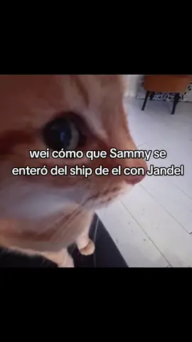 😨😨😨 #foryou #parati #fyp #teamsammy #robloxx 