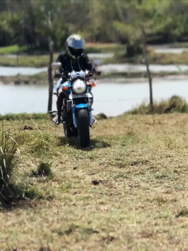 කැලේ යන අපිට මේවත් පාරවල්ද අනේ...😼💙🫶 #hornet250 #foryou #bikelover #viral #trending 