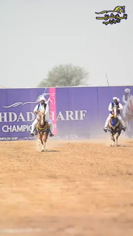 مرشد بغدادی 
