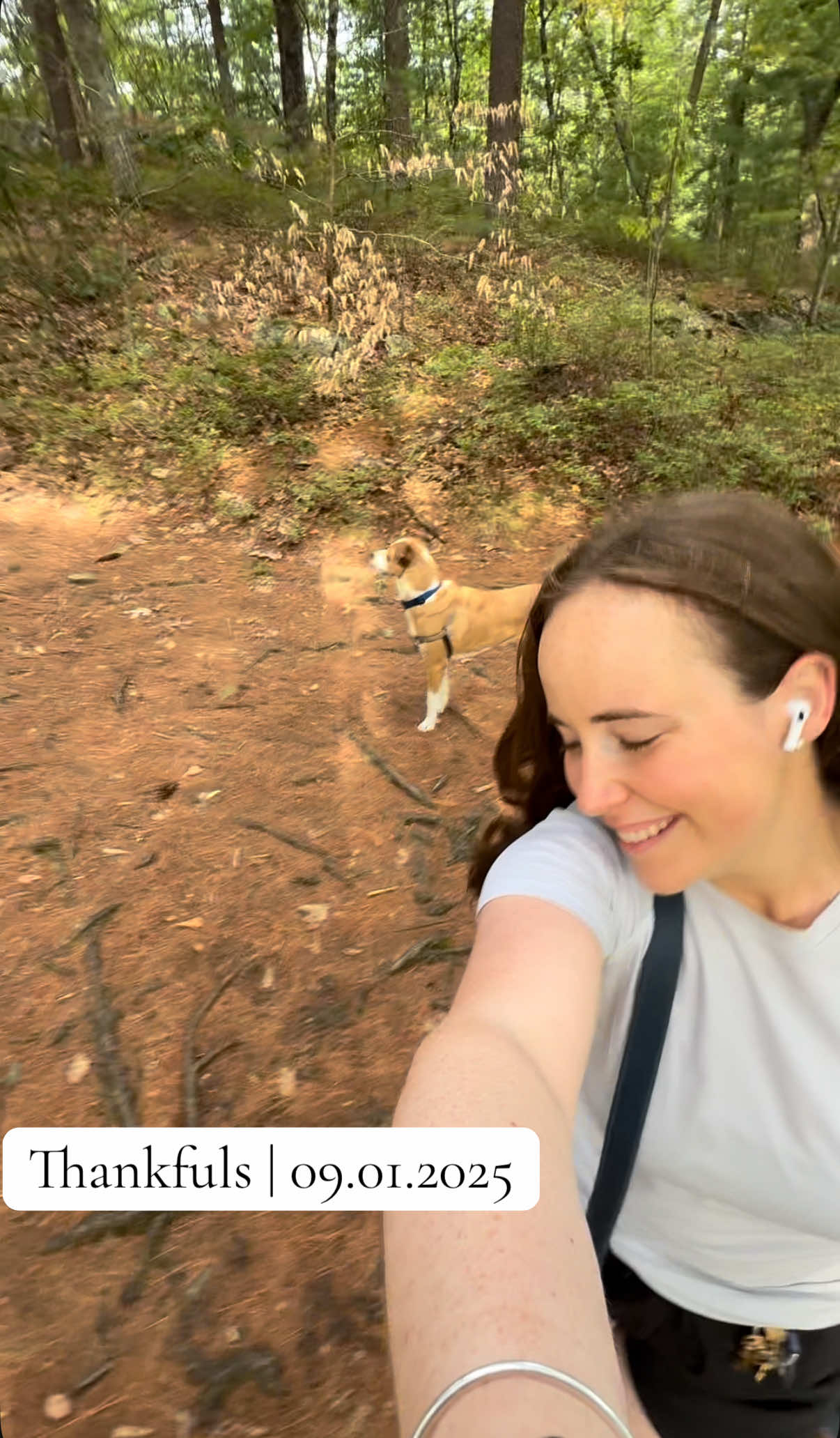 Thankful for a long weekend wandering the woods with my favorite hiking buddy 🐾 #thankfuldiaries #puptok #traildog 